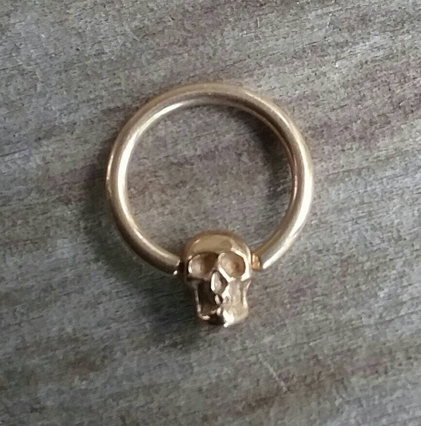 Gold bcr, skull earring,bcr skull bead,9ct gold skull bc,skull nipple ring,skull belly ring,skull ,gold skull sleeper,pirate,captive bead,