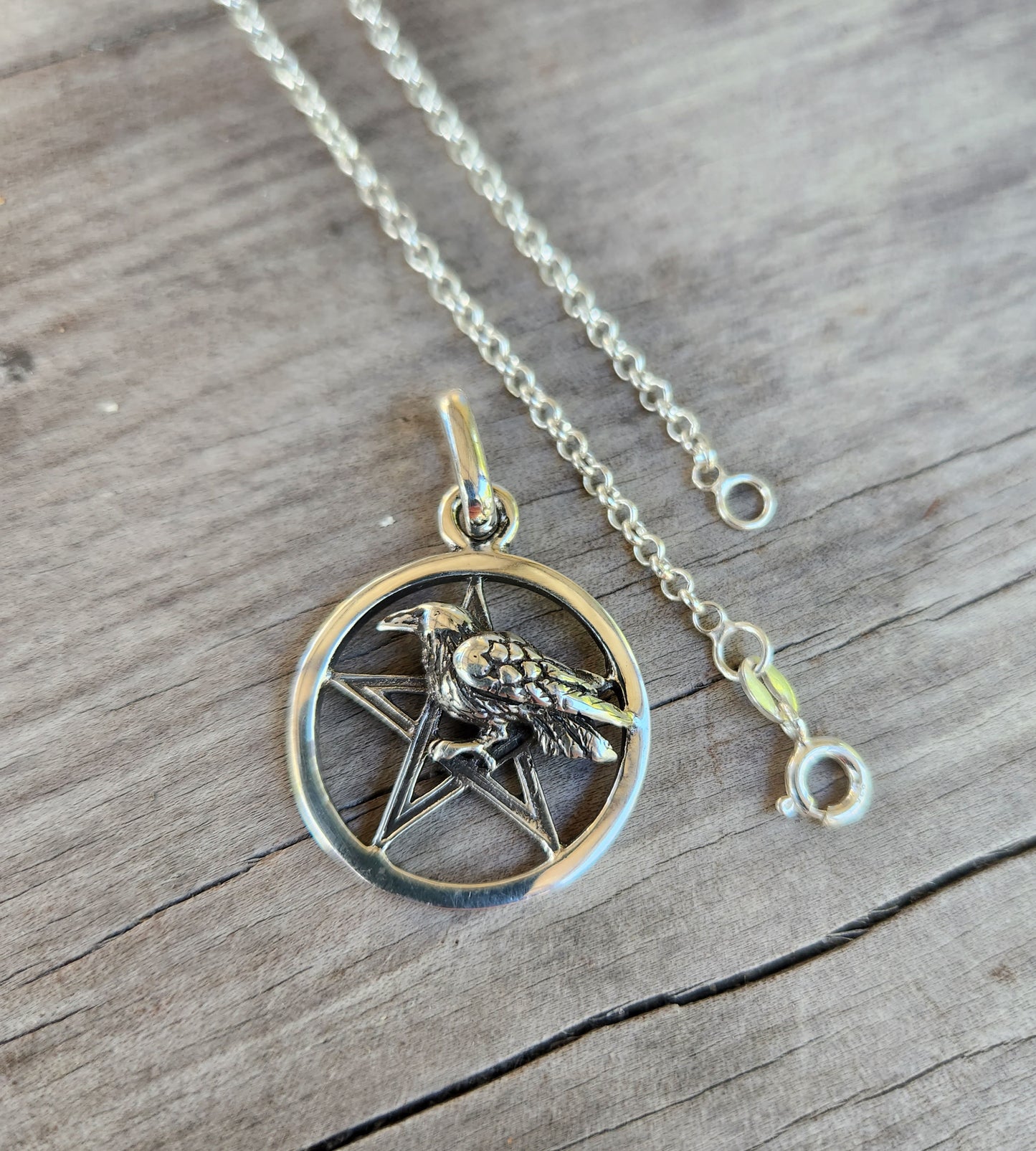 Raven Pentagram pendant,sterling silver,crow, bird,occult wiccan,witch ,magic,druid,goth