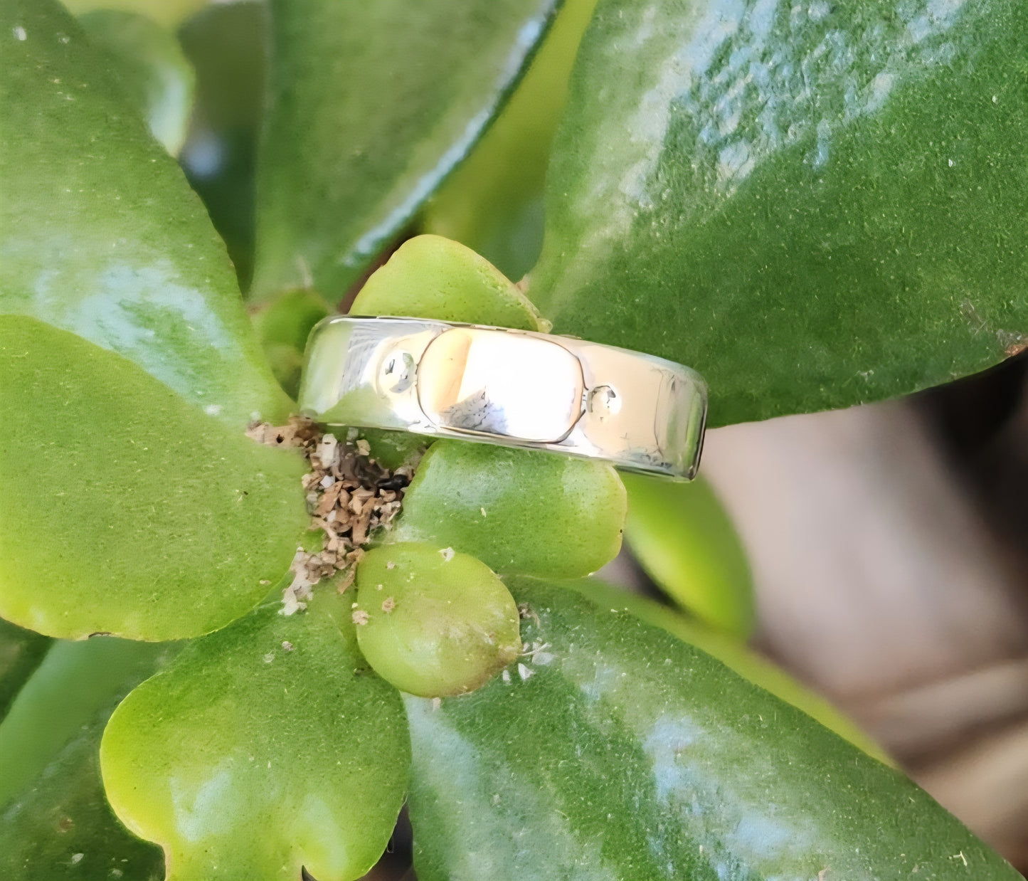 Gold and silver two tone ring,9k gold centre on 925 sterling silver band,gold ball,mixed metal wedding band.
