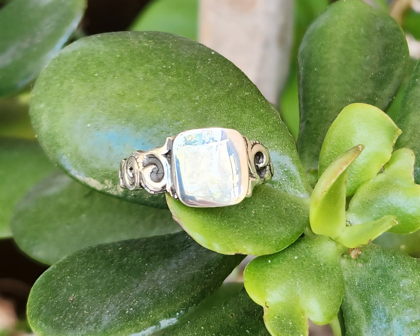 Small square signet ring,925 solid sterling silver,pinkie ring, plain signet,fine,lightweight sq top silver ring