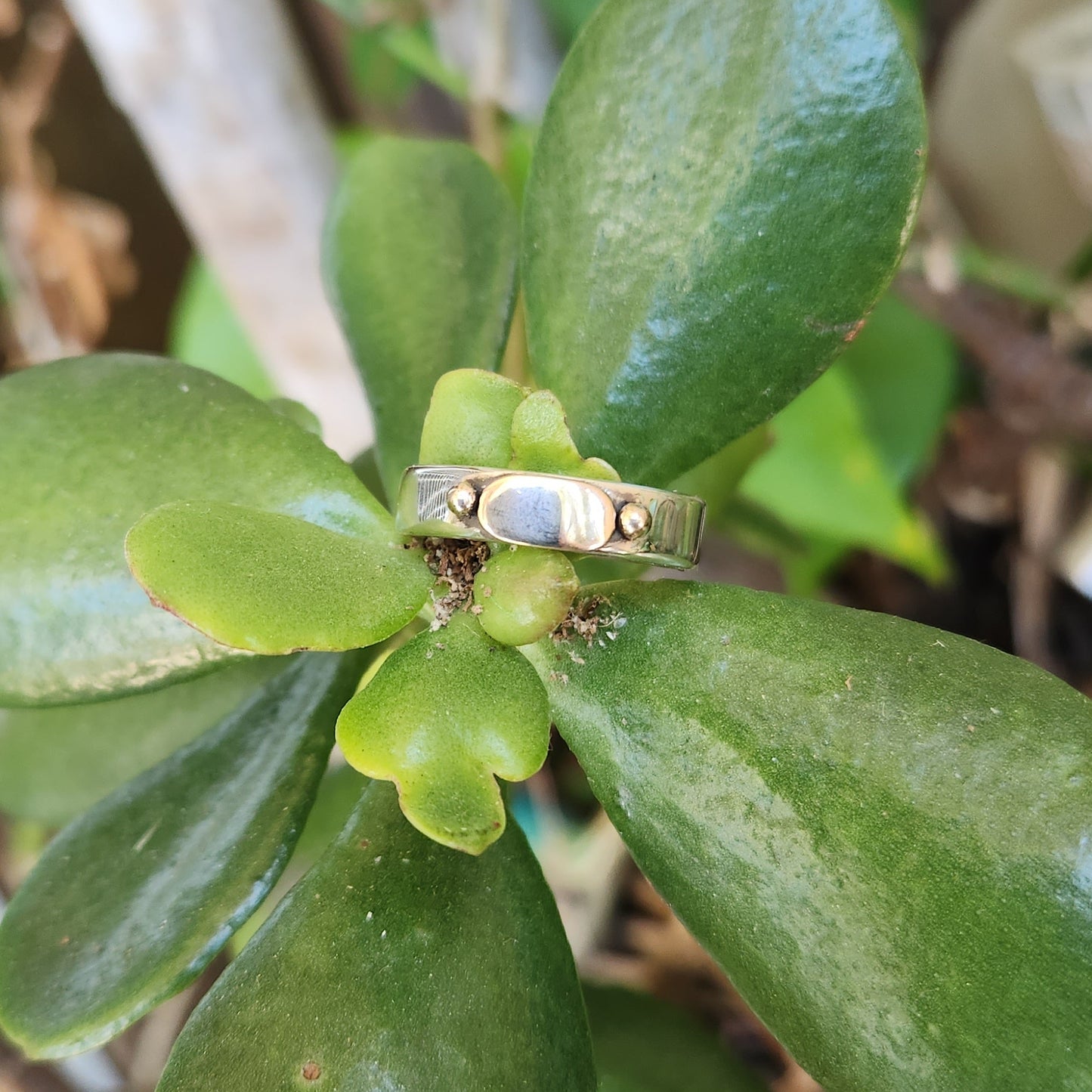 Gold and silver two tone ring,9k gold centre on 925 sterling silver band,gold ball,mixed metal wedding band.