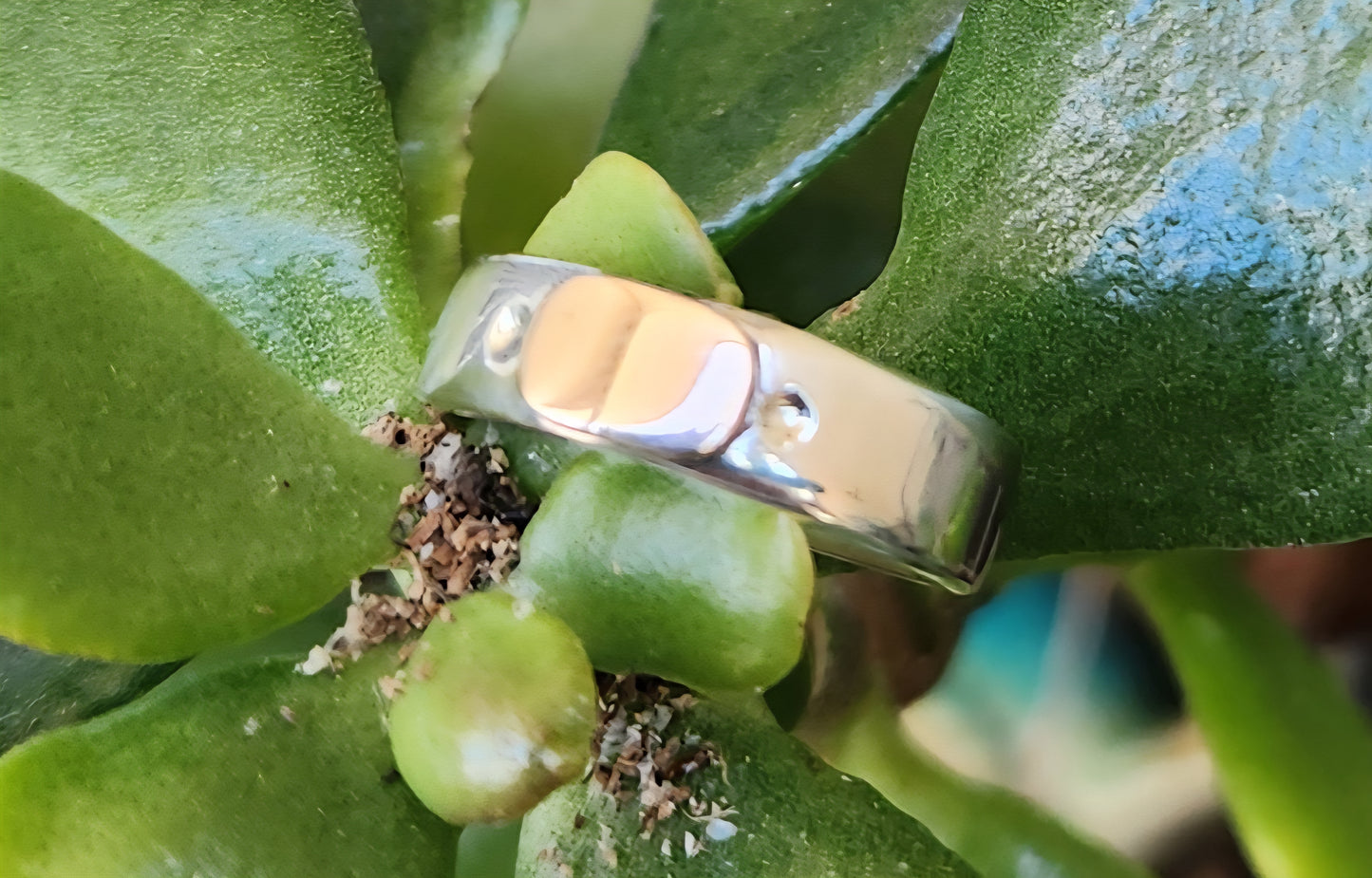 Gold and silver two tone ring,9k gold centre on 925 sterling silver band,gold ball,mixed metal wedding band.