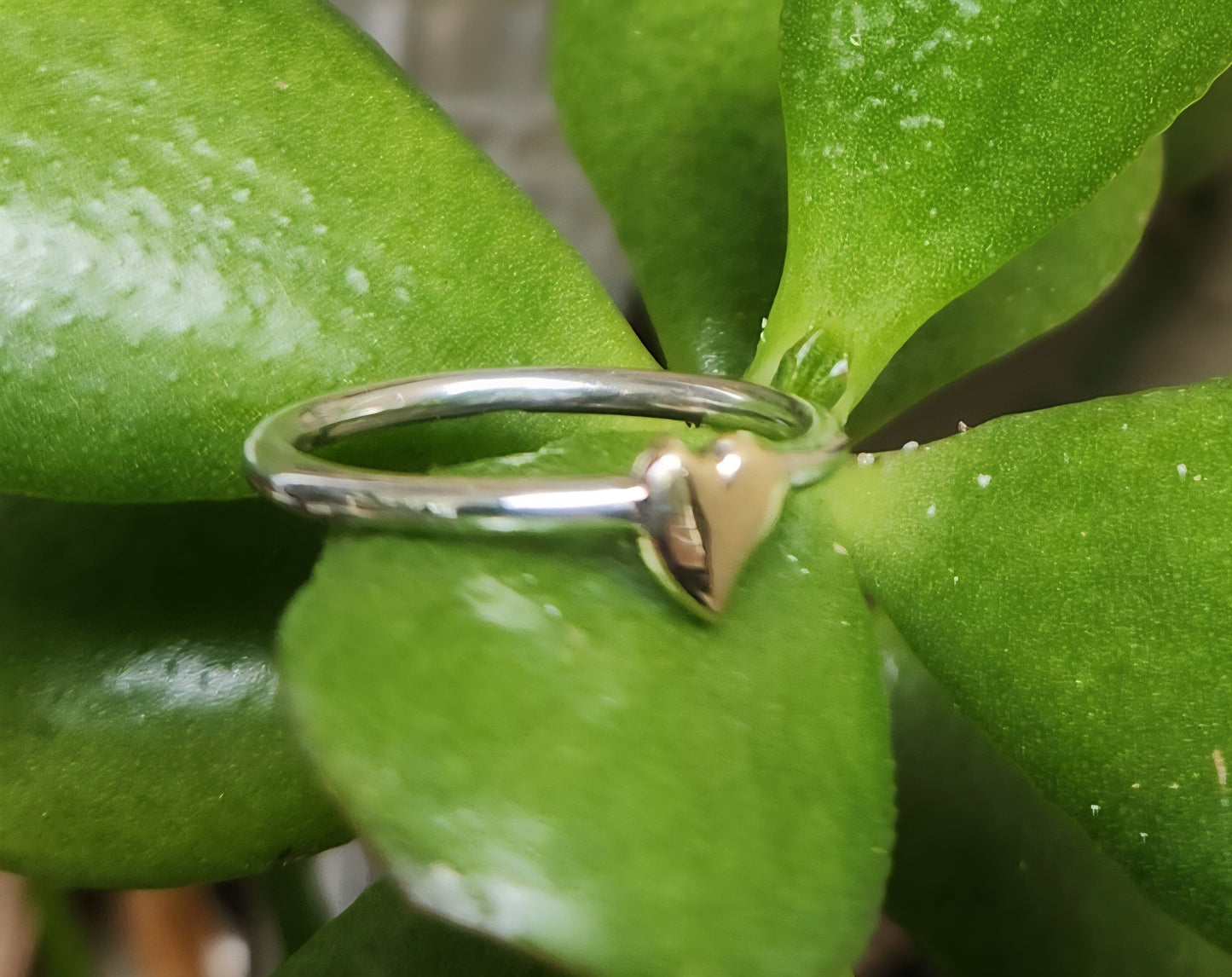 Gold Heart ring,9k Gold and 925 sterling silver,two tone ring,mixed metal