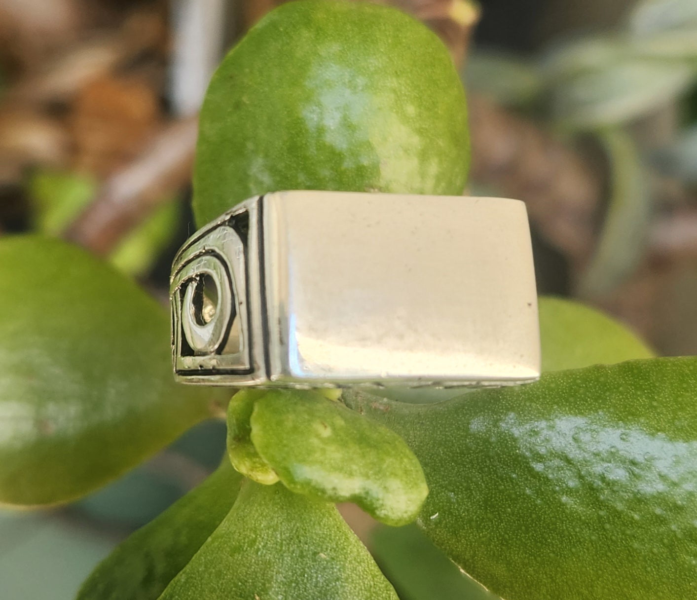 Silver Signet ring,925 sterling silver,filegree blank ring,unisex