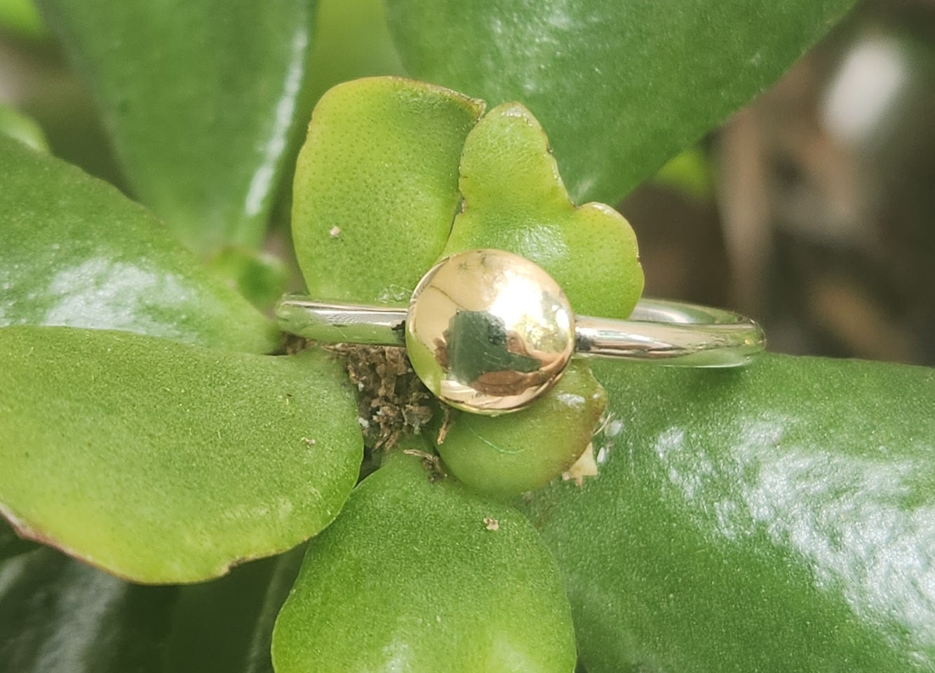 9k ,silver Two tone ring,solid 9ct/9k gold top and sterling silver,2mm band,