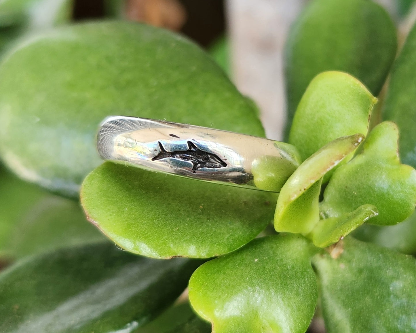 dolphin ring,925 sterling silver,6mm band silver,porpous