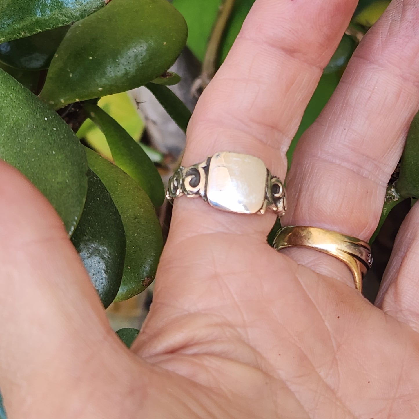 Small square signet ring,925 solid sterling silver,pinkie ring, plain signet,fine,lightweight sq top silver ring